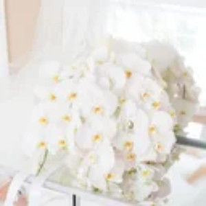 Meet your Posher, Jeromy